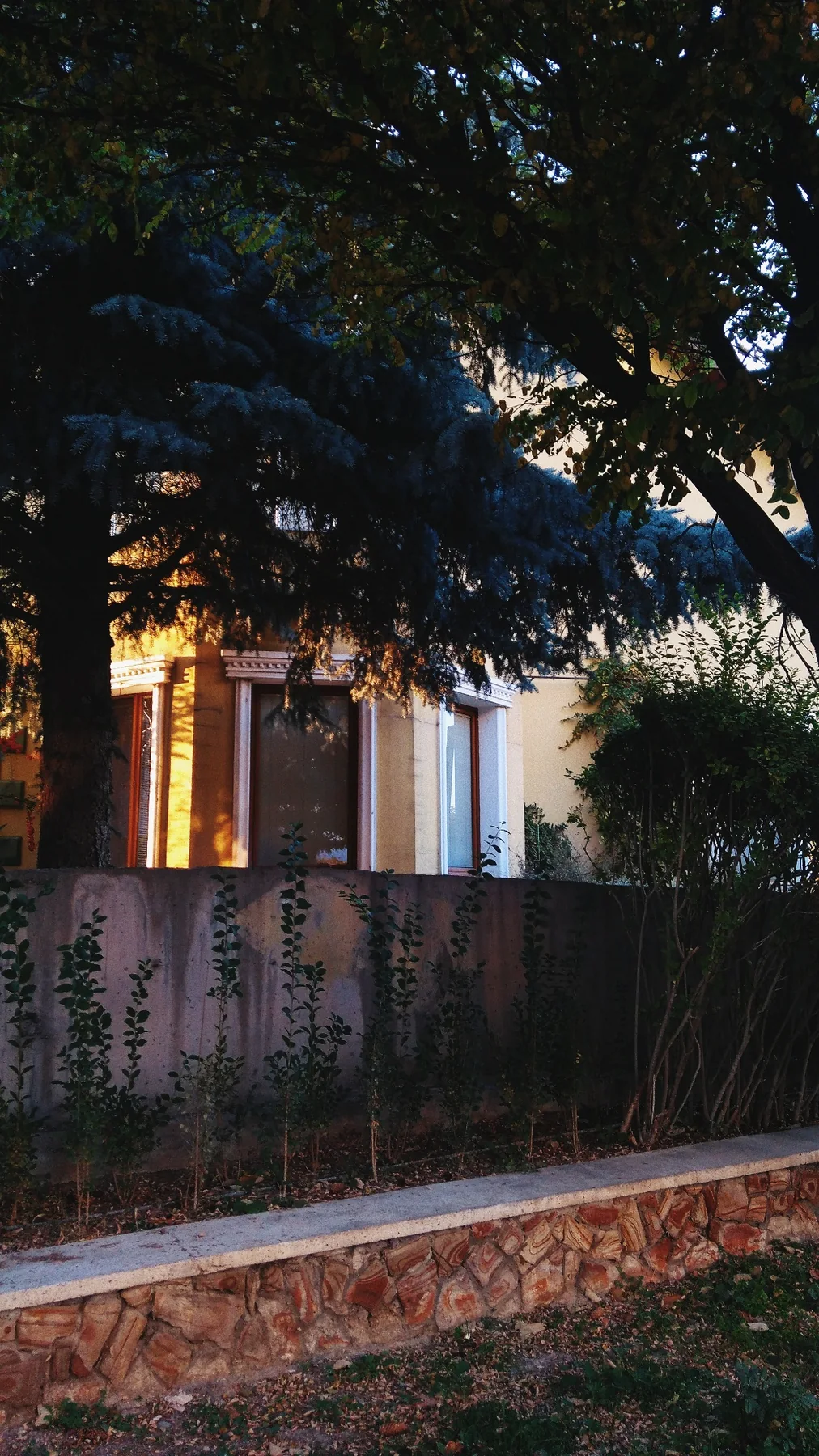 Ağaçların ardında yanan bir pencere.