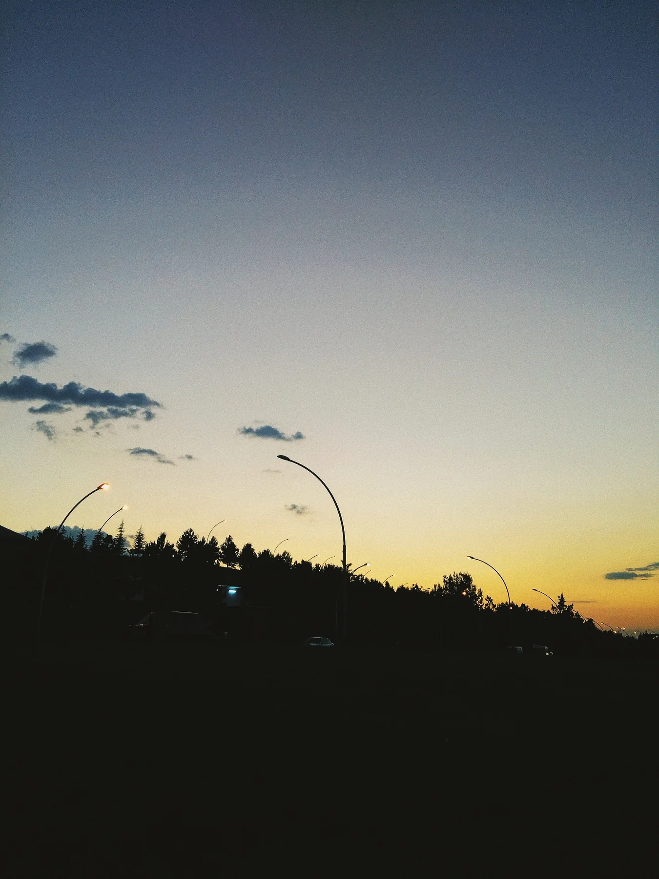 Alacakaranlıkta yol.