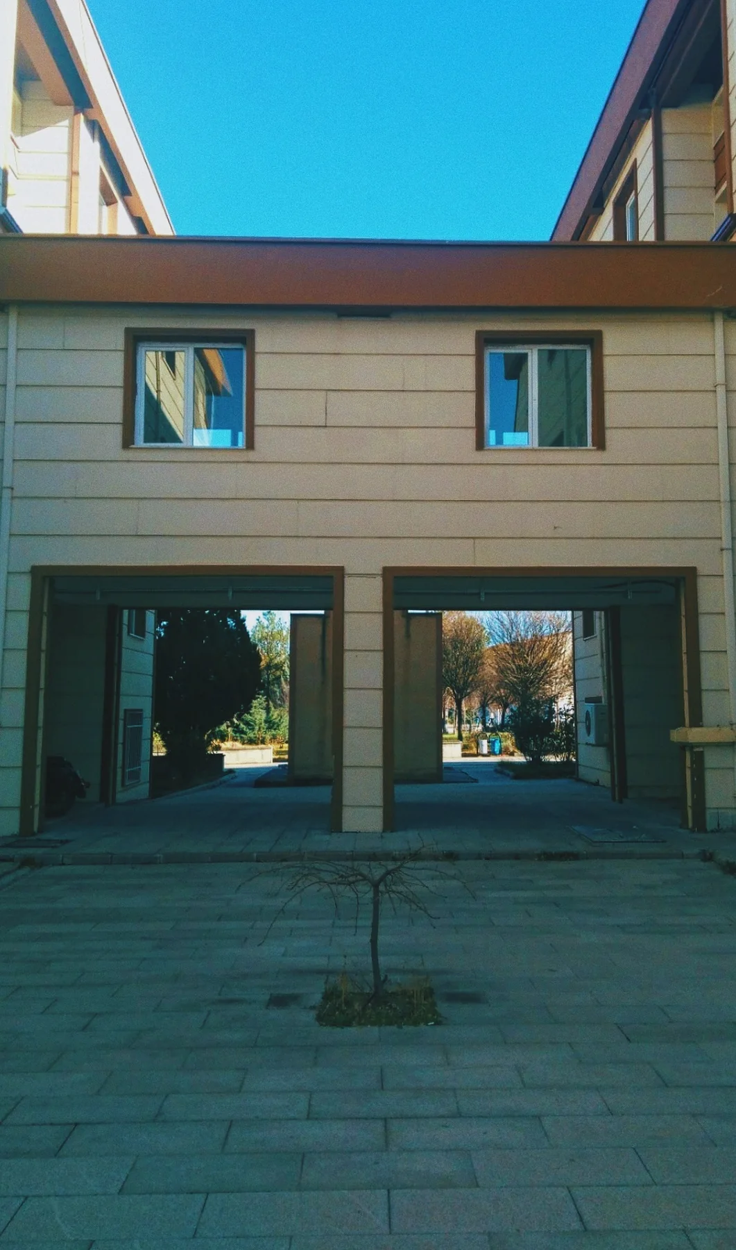 Avlu.