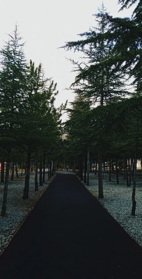 Aynı yol, başka bir saat.