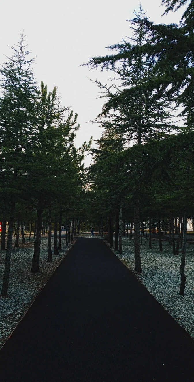Aynı yol, başka bir saat.