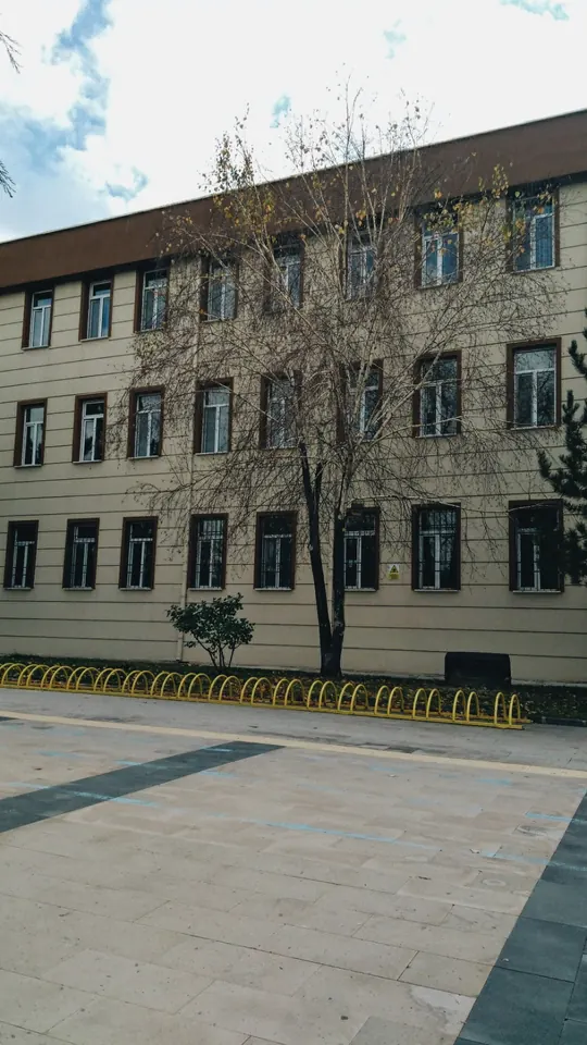 Çıplak ağaç, sarı cephe.