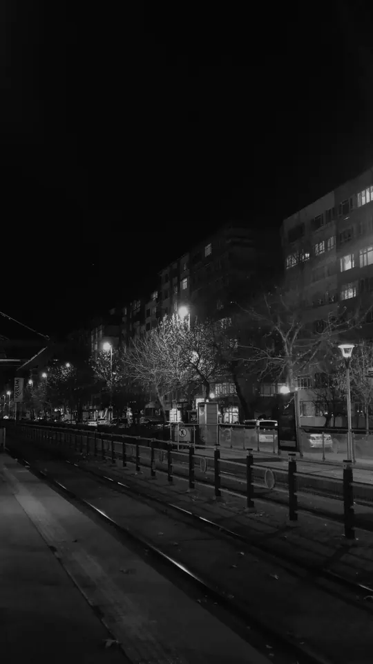 Gece, raylar.
