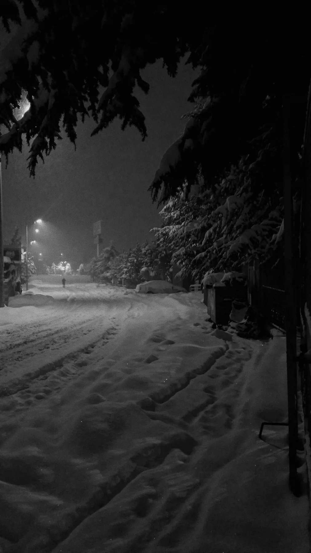 Karlı gece.
