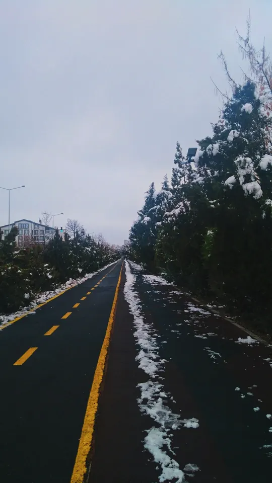 Karlı yol, sarı çizgi.