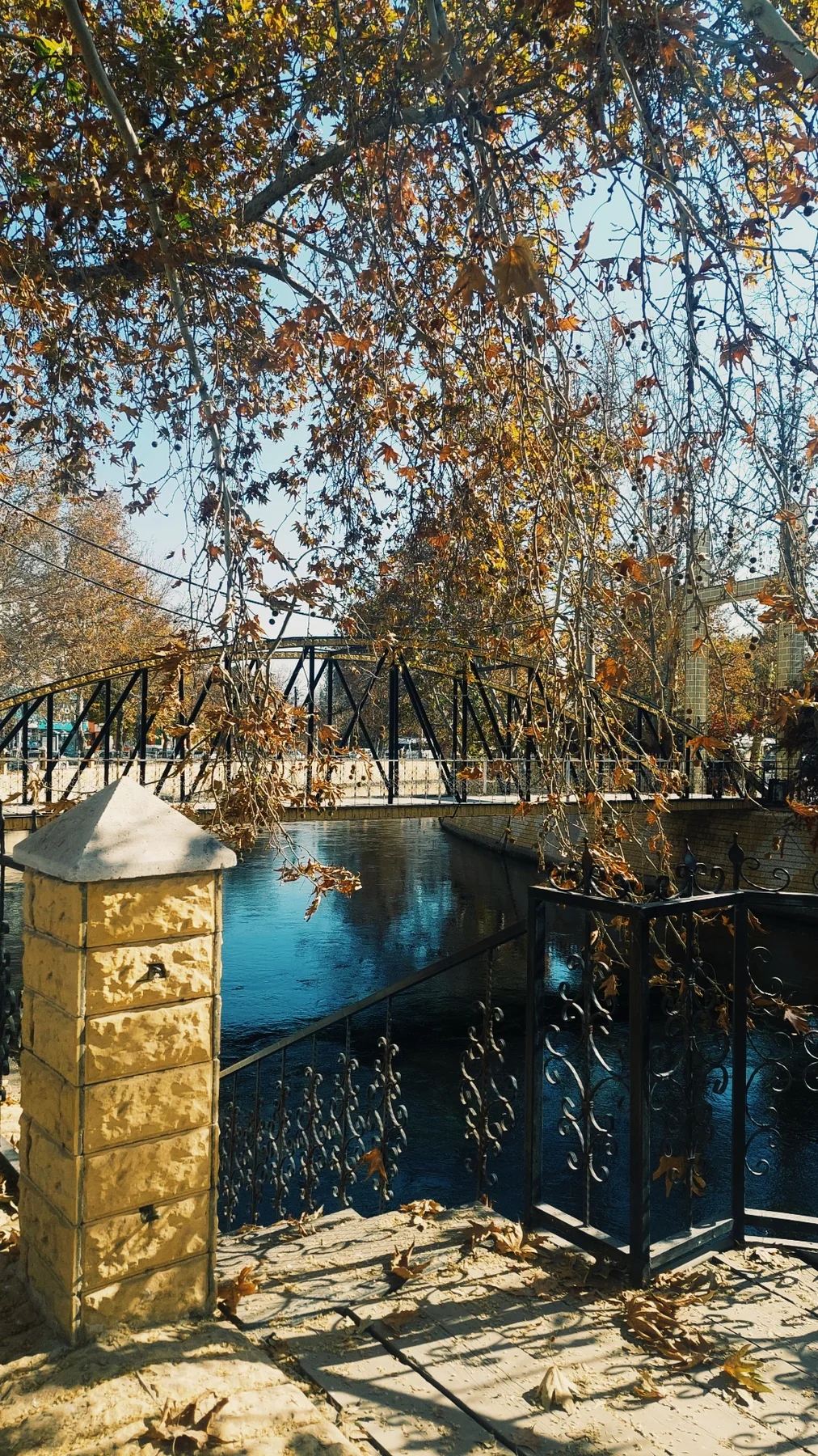 Köprü, sonbahar ve su.