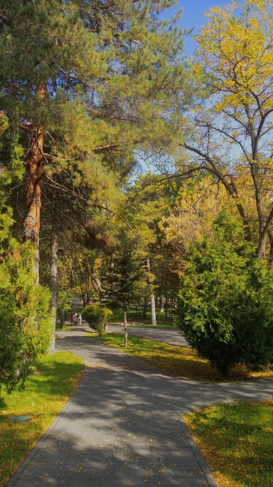 Park yolu.