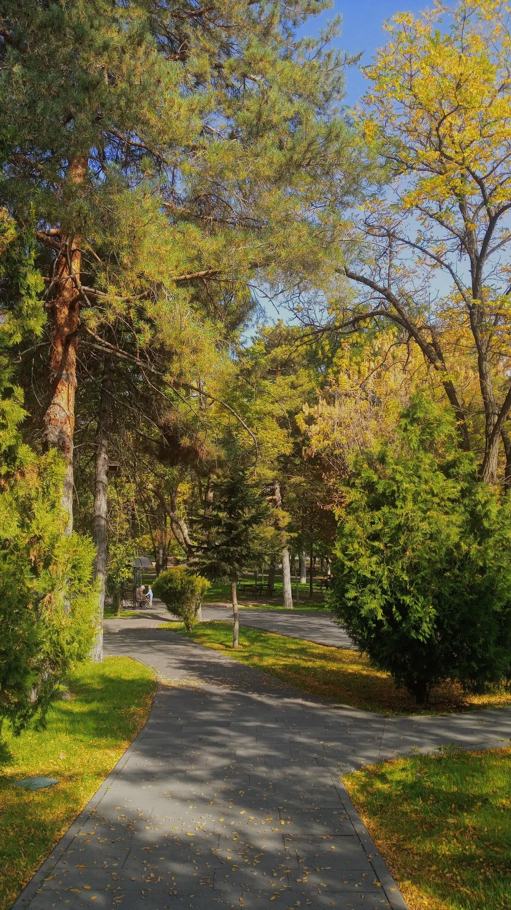 Park yolu.