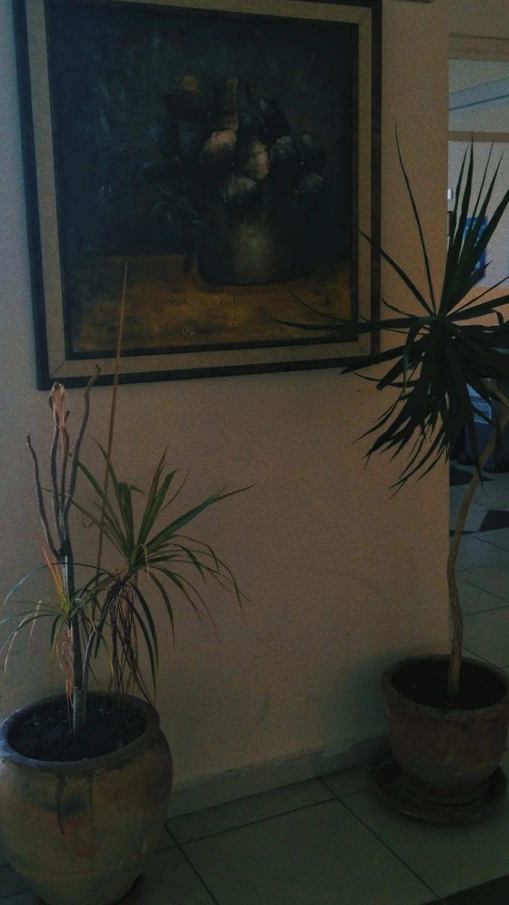 Saksılar ve tablo.