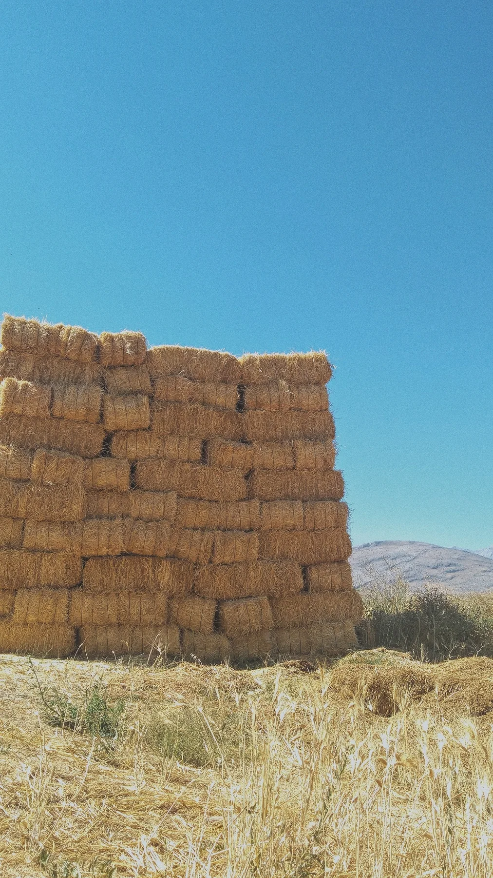 Saman balyaları.