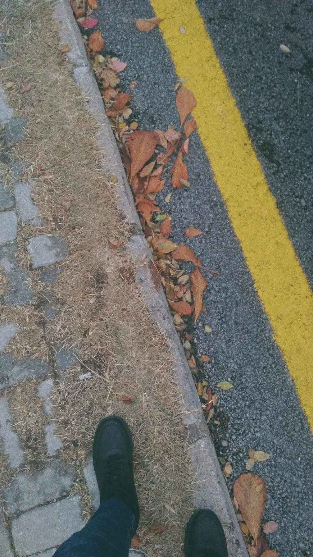 Sarı çizgi, kuru yapraklar.