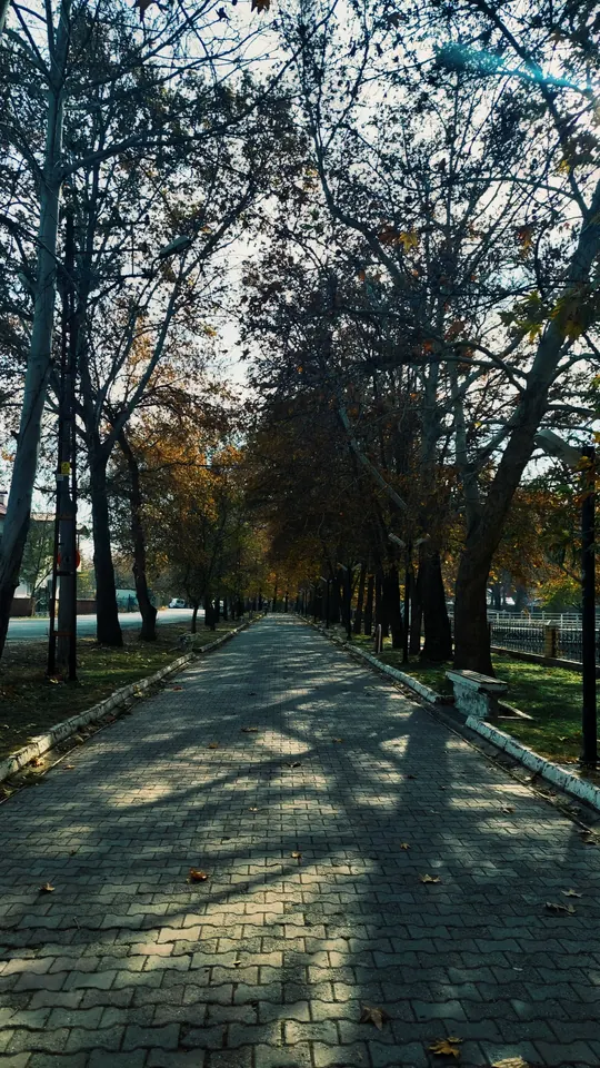 Sonbahar yolu.