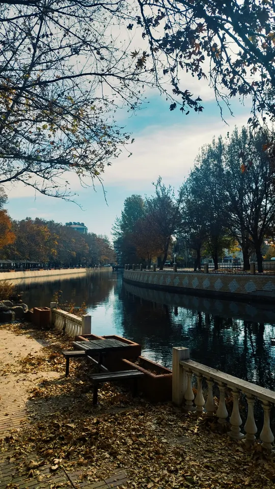 Sonbaharda kanal boyu. Yapraklar banklara, ağaçların gölgesi suya düşmüş.