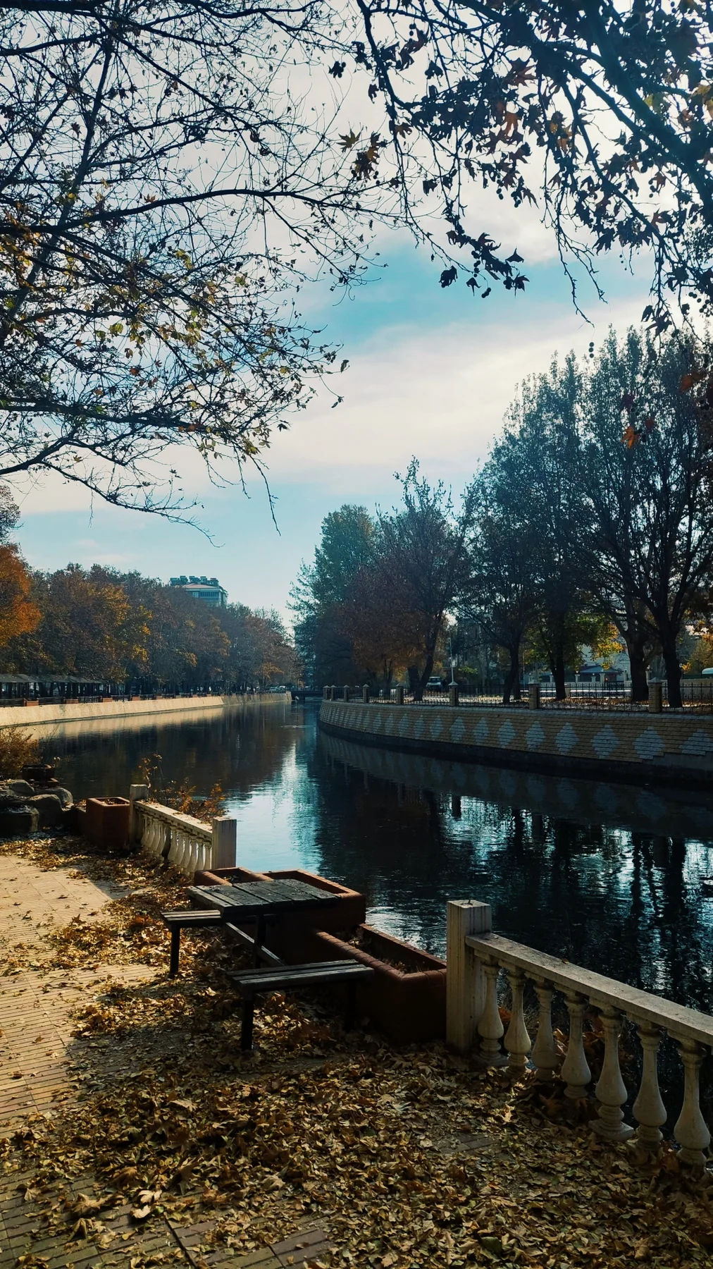 Sonbaharda kanal boyu. Yapraklar banklara, ağaçların gölgesi suya düşmüş.