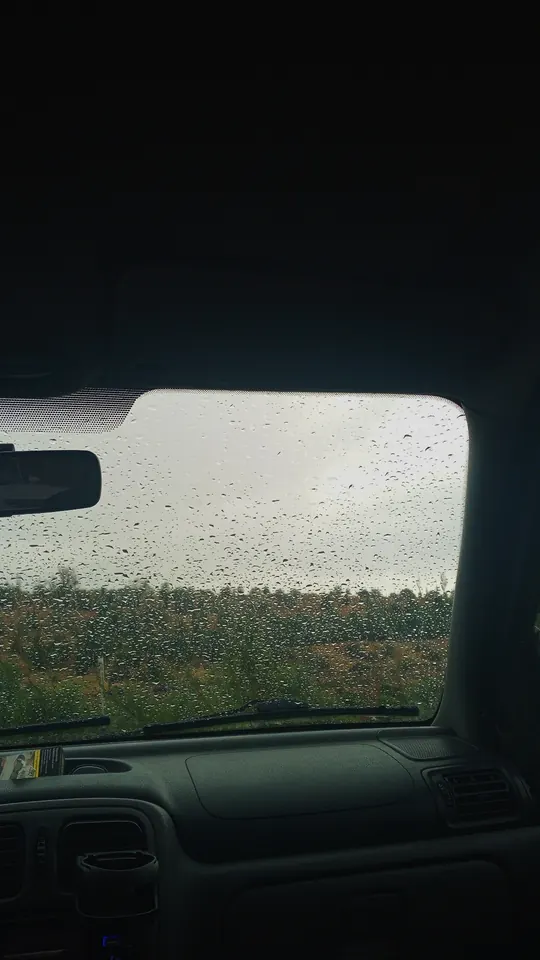 Yağmurlu yol.