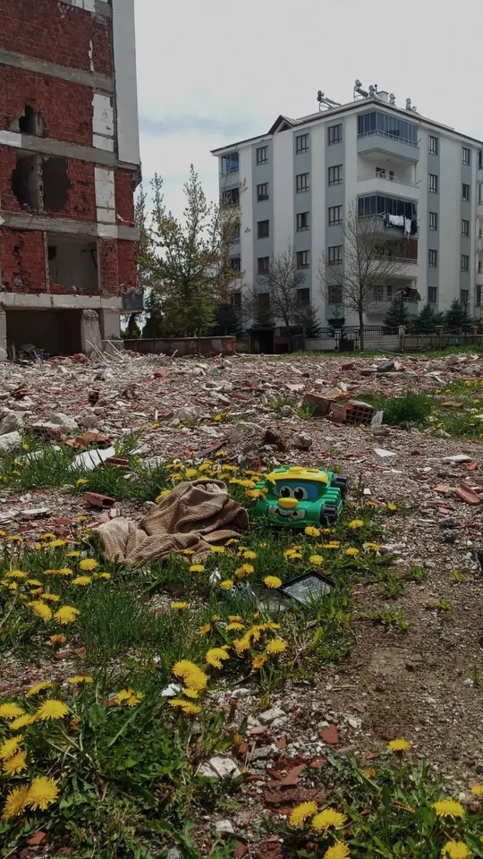 Yıkılmış bir binanın yerinde karahindibalar açmış. Hayat boşluğu çabuk dolduruyor.