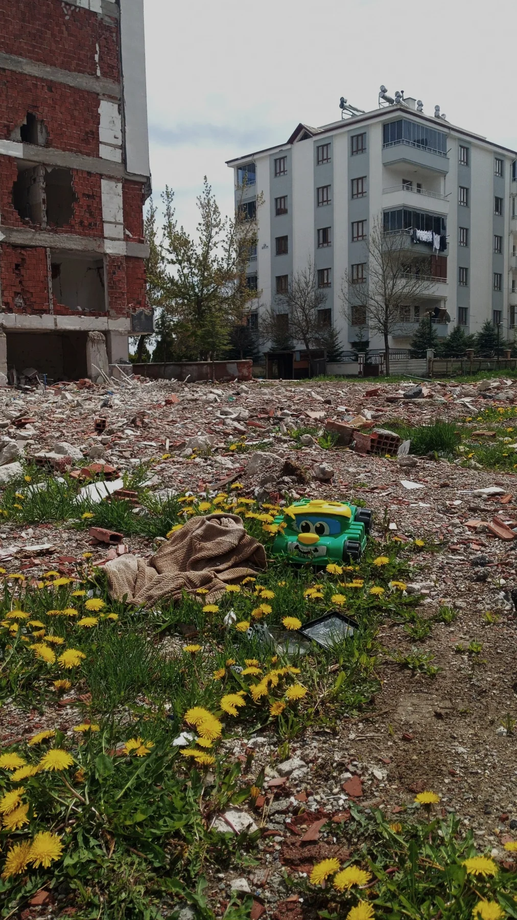 Yıkılmış bir binanın yerinde karahindibalar açmış. Hayat boşluğu çabuk dolduruyor.