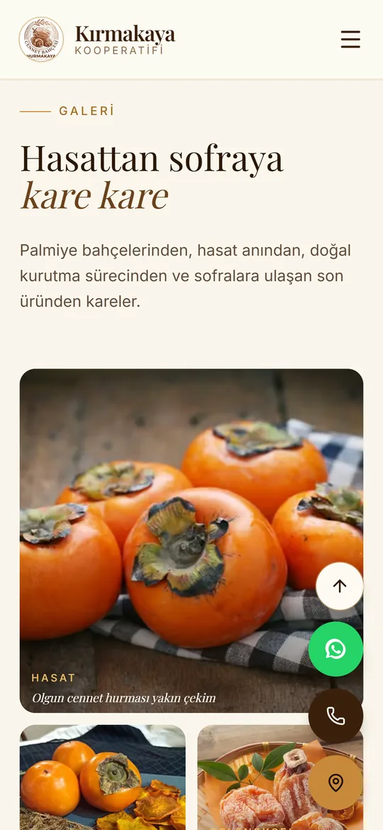 Galeri